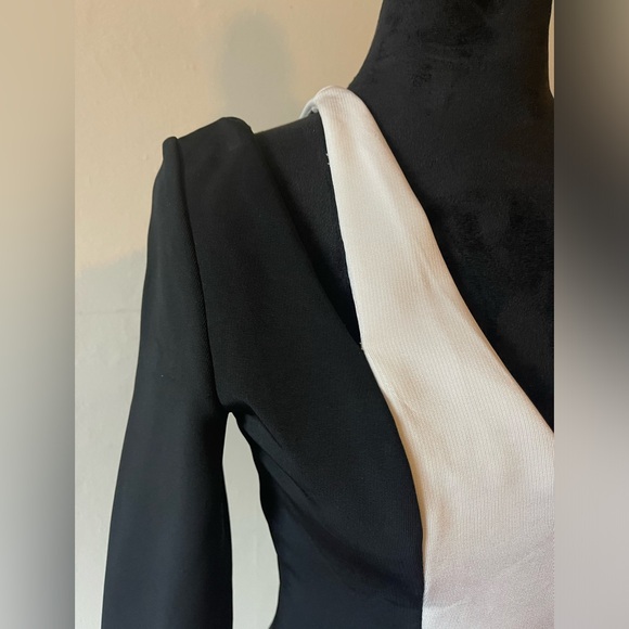Cushnie et Ochs Power Viscose White/Black Bodycon Dress, Size 10, worn once - Picture 3 of 13